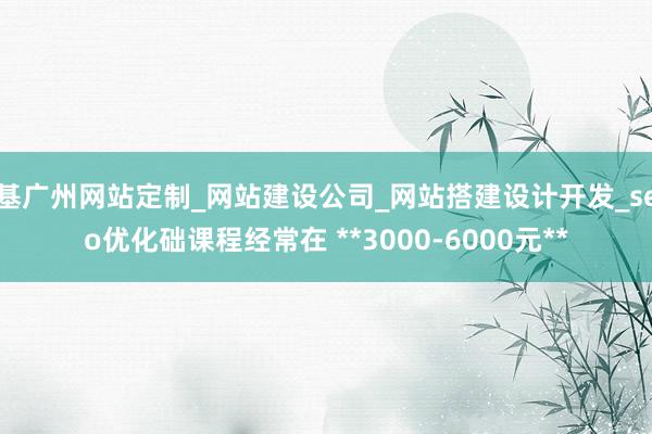 基广州网站定制_网站建设公司_网站搭建设计开发_seo优化础课程经常在 **3000-6000元**